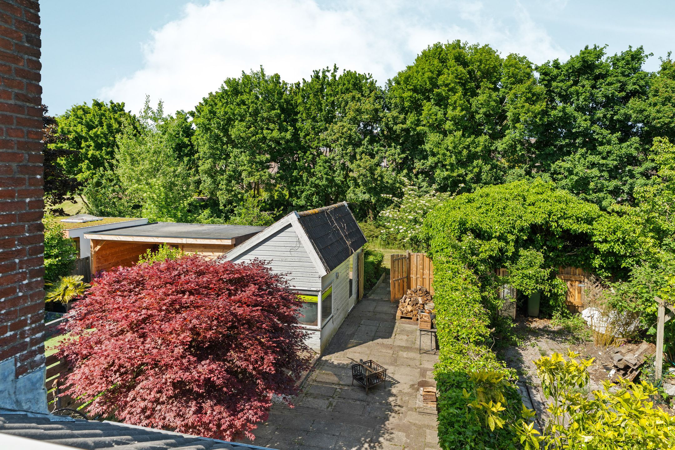 Foto 18 van Punter 41 14