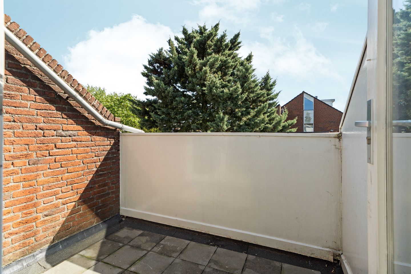 Foto 20 van Punter 41 14