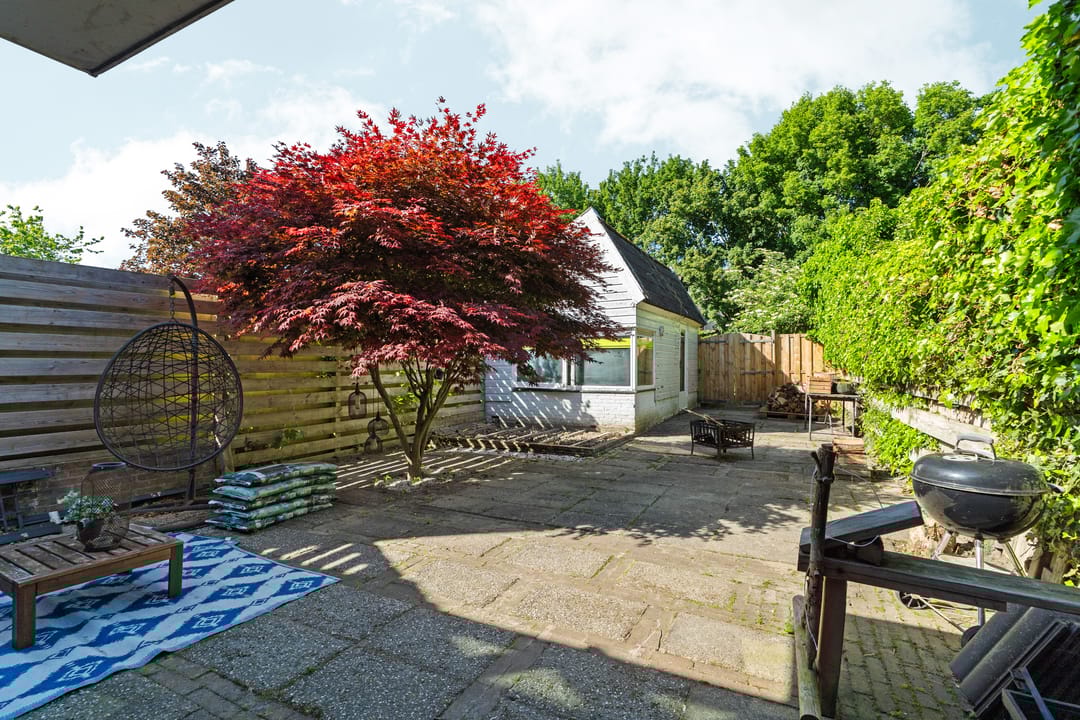 Foto 32 van Punter 41 14