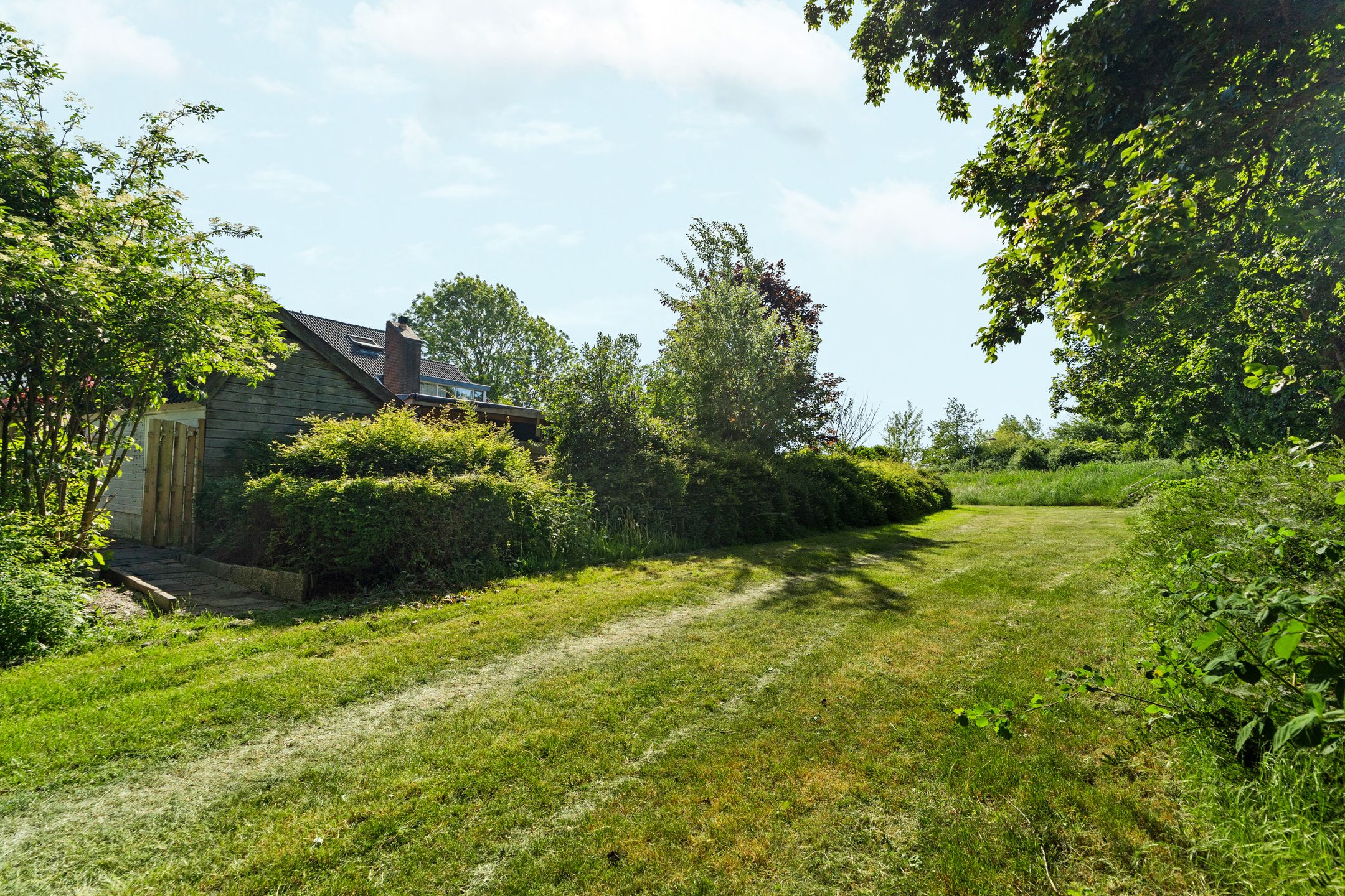 Foto 36 van Punter 41 14