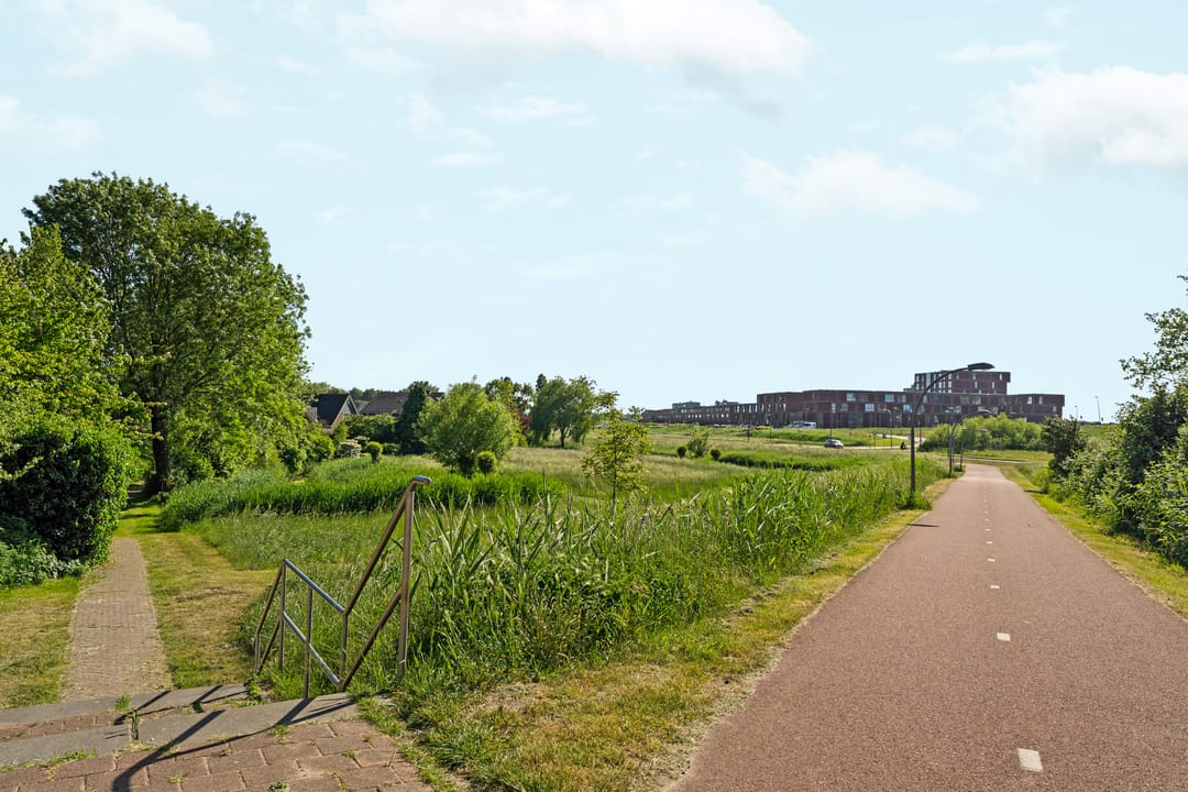 Foto 37 van Punter 41 14