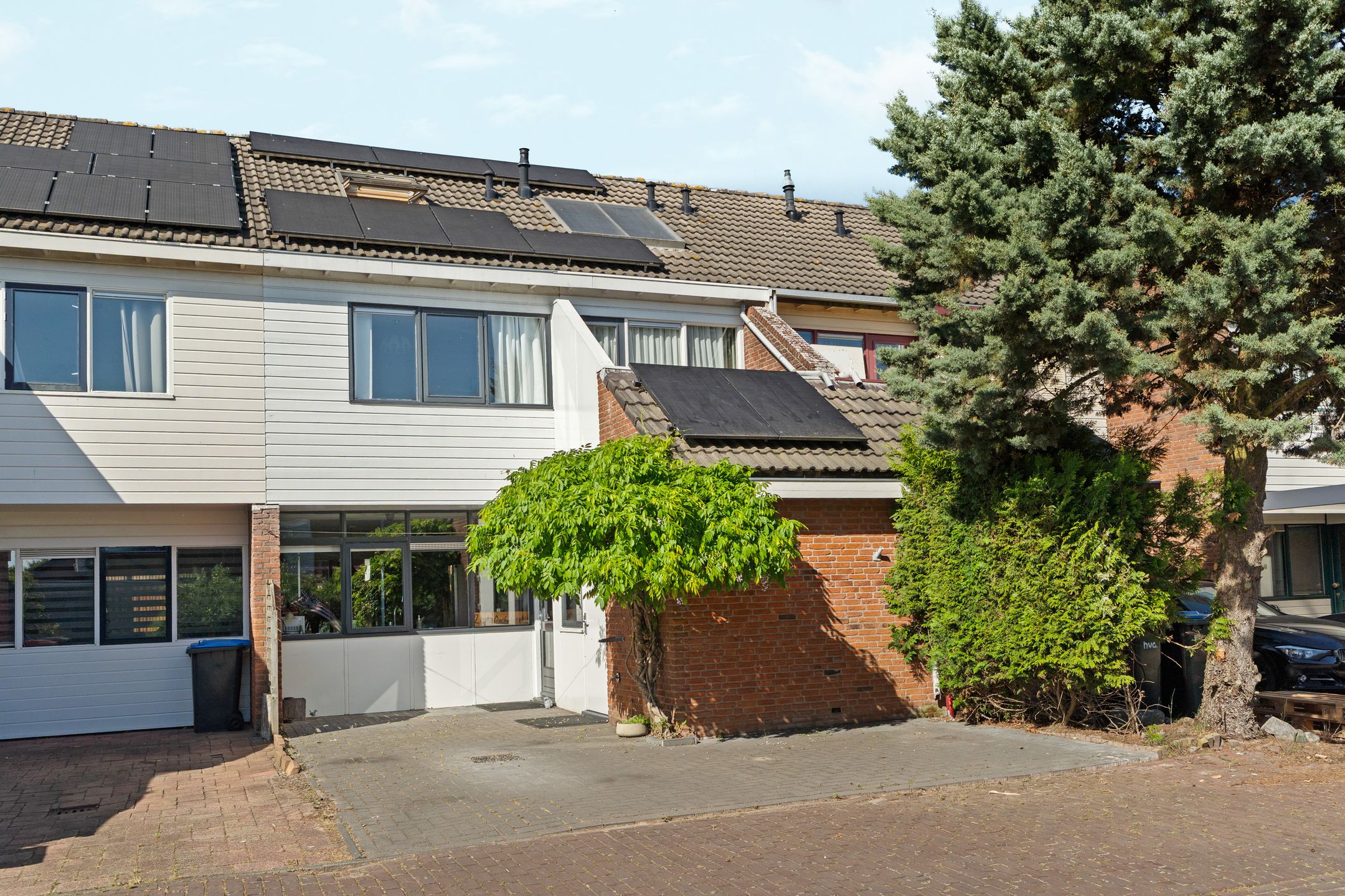 Foto 39 van Punter 41 14