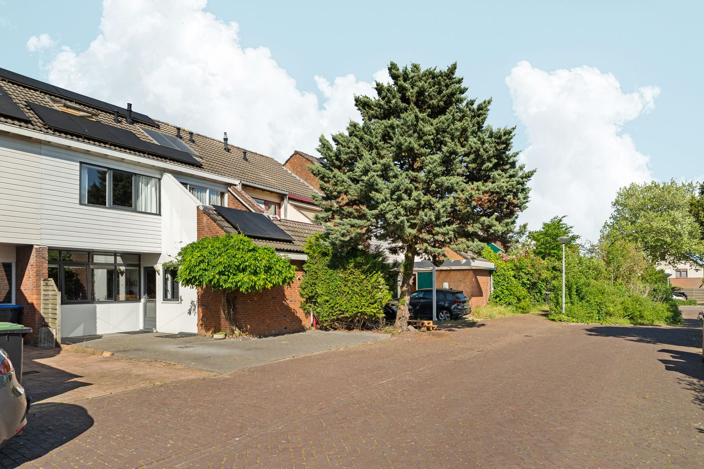 Foto 40 van Punter 41 14