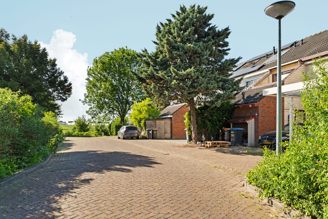 Foto 41 van Punter 41 14