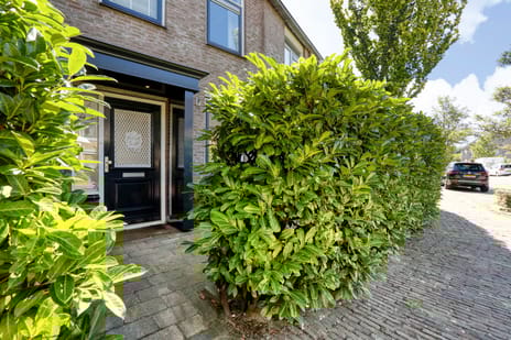 Nienhuis Ruijskade thumbnail