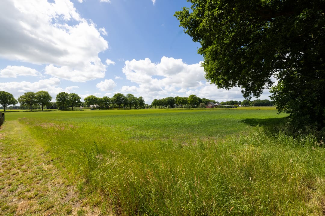 Foto 13 van Slagboom