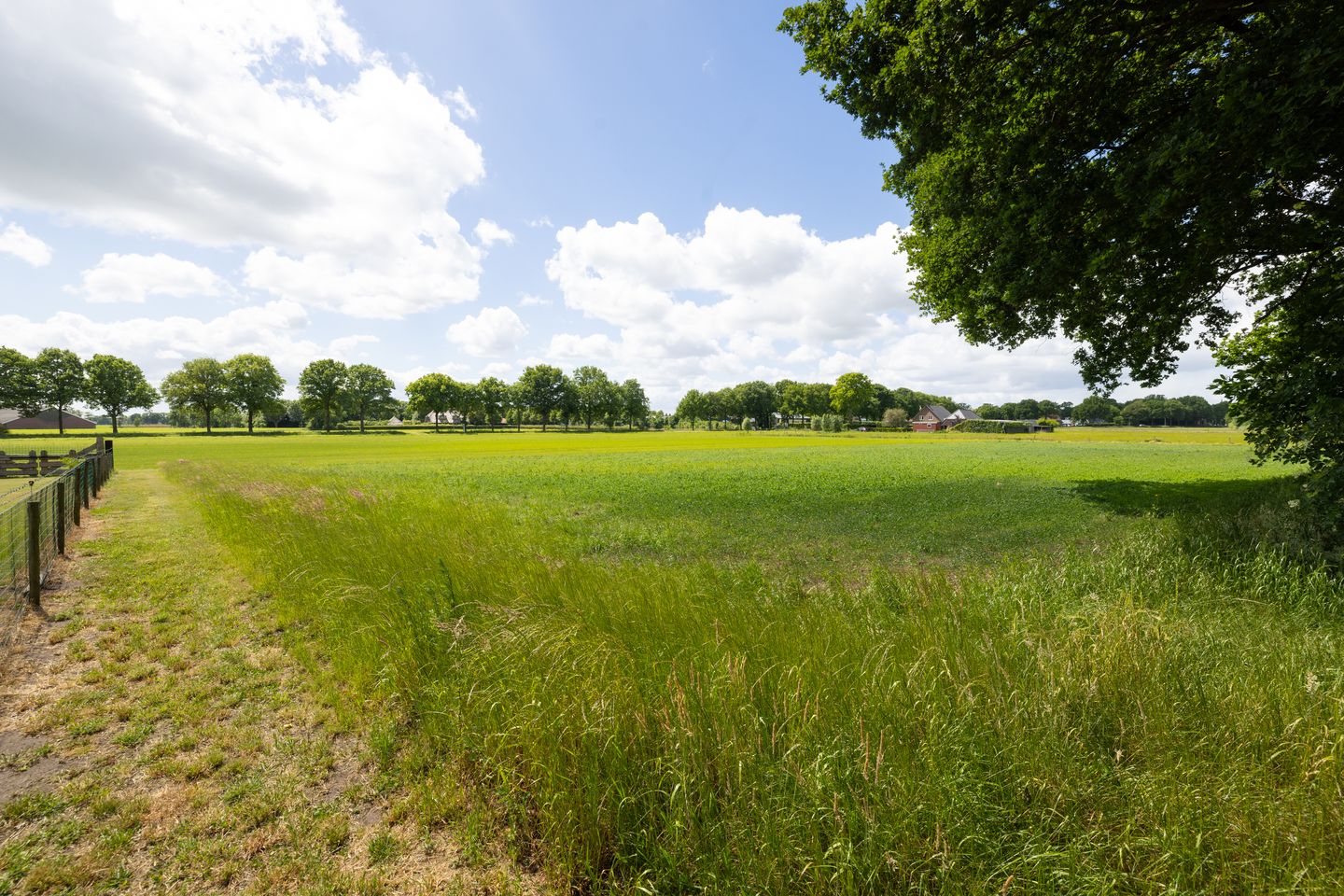 Foto 14 van Slagboom