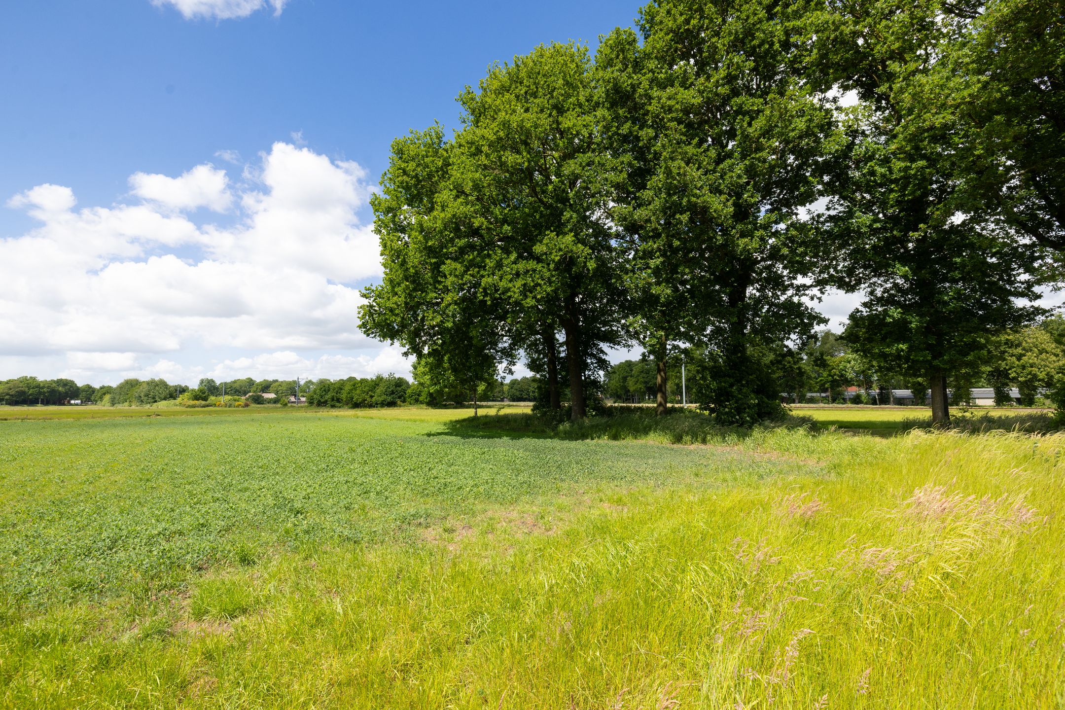 Foto 15 van Slagboom