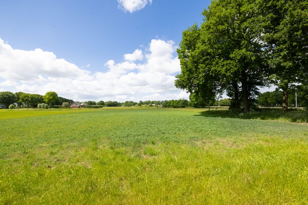 Foto 16 van Slagboom