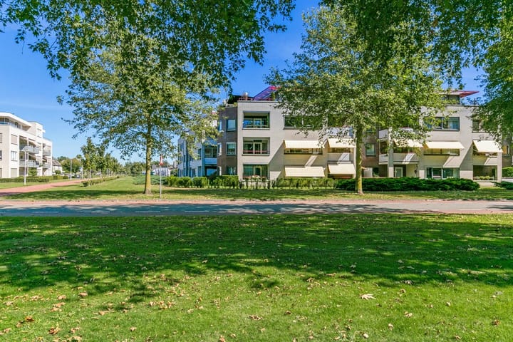 Foto 2 van Vogelhei 53