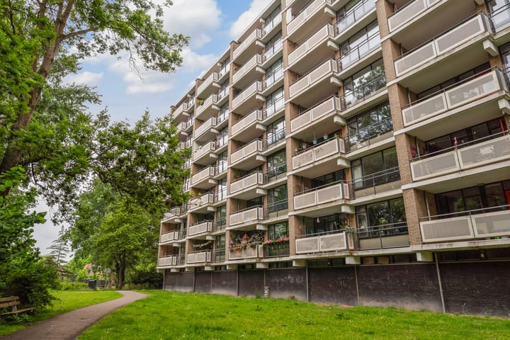 Foto 35 van Jan Luykenlaan 294