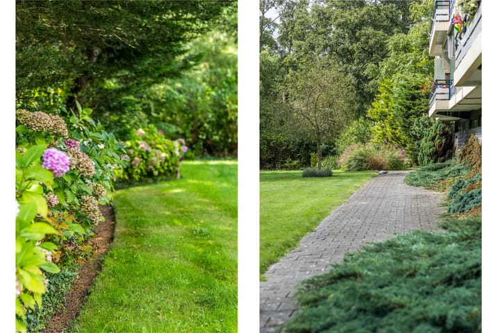 Foto 35 van Chabotlaan 253