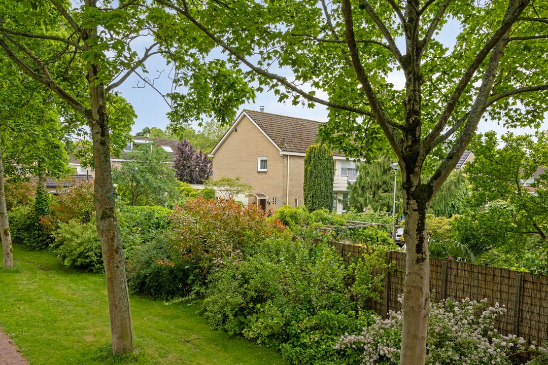 Foto 31 van Hertog Albrechtstraat 22