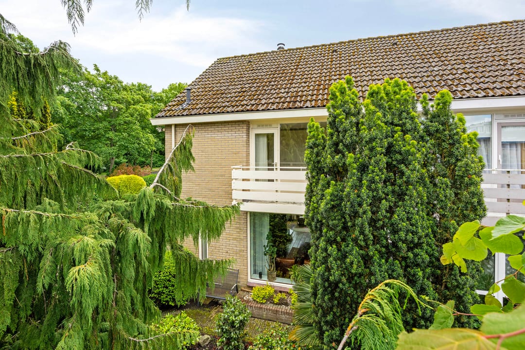 Foto 32 van Hertog Albrechtstraat 22