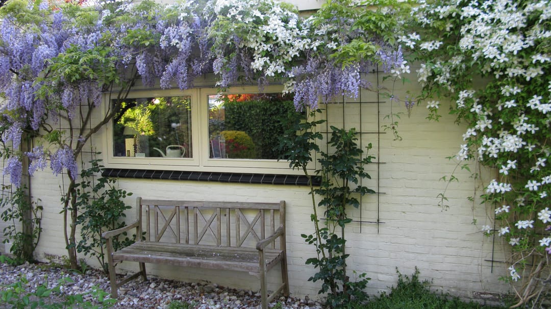 Foto 28 van Hertog Albrechtstraat 22