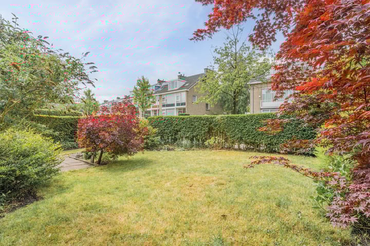 Foto 19 van Paulaland 8