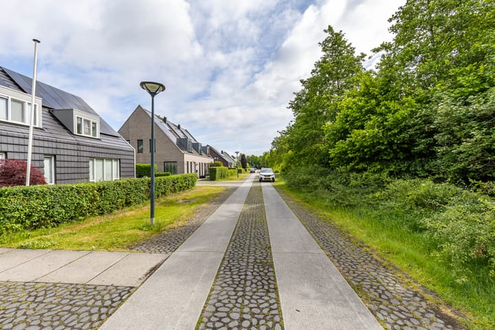 Foto 8 van Steendobbe 1