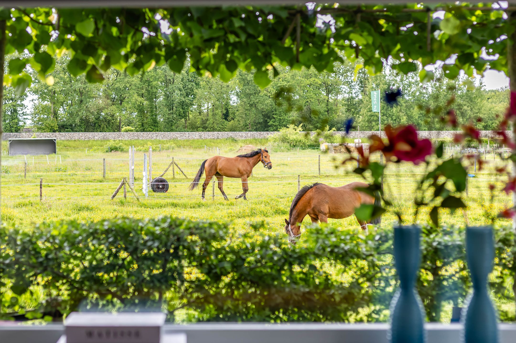 Photo 39 of Steendobbe 1