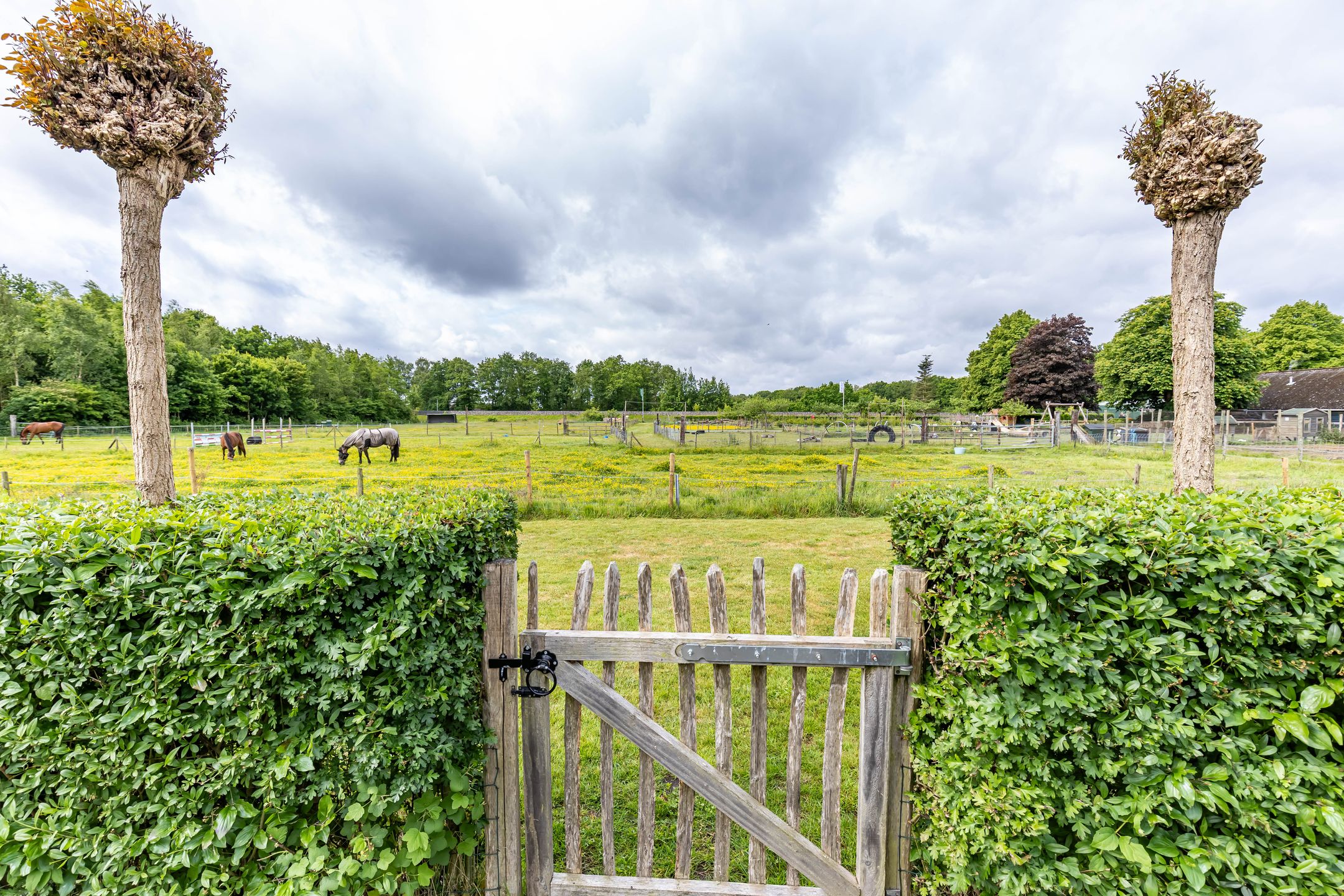 Photo 54 of Steendobbe 1