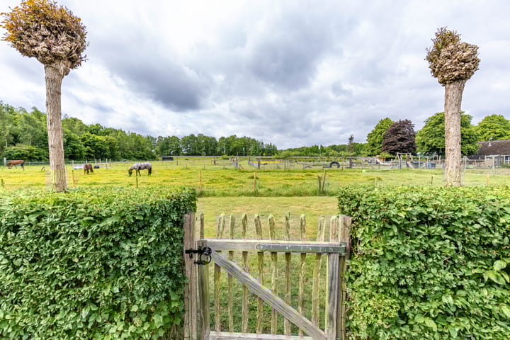 Foto 54 van Steendobbe 1