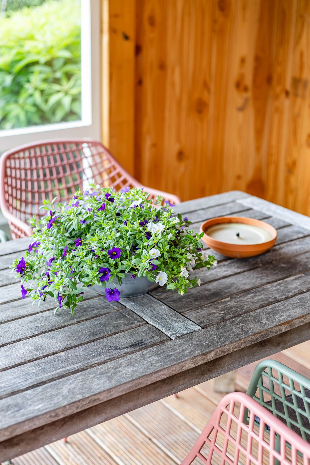 Photo 58 of Steendobbe 1