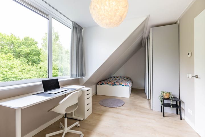 Foto 65 van Steendobbe 1