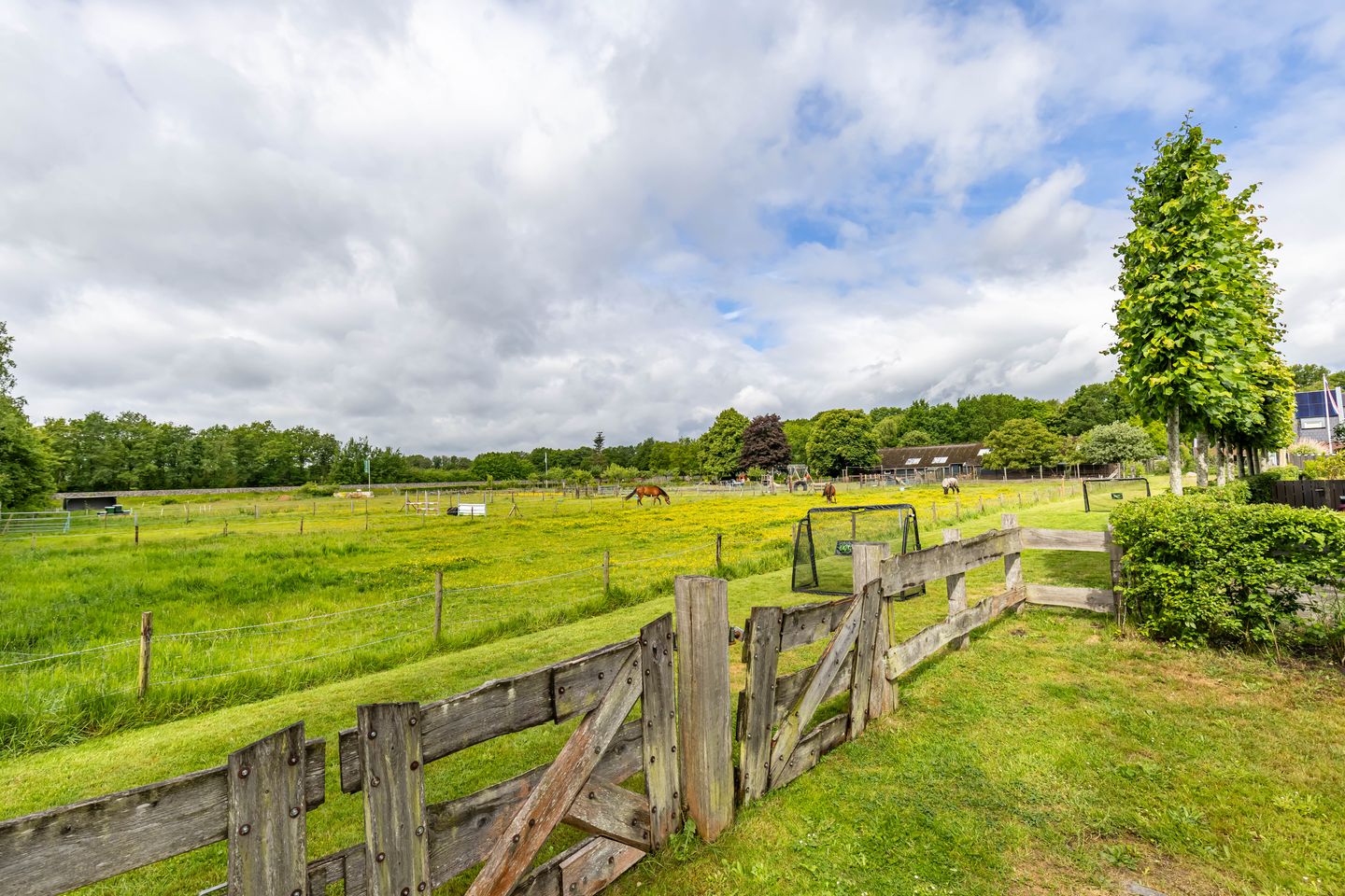 Photo 80 of Steendobbe 1