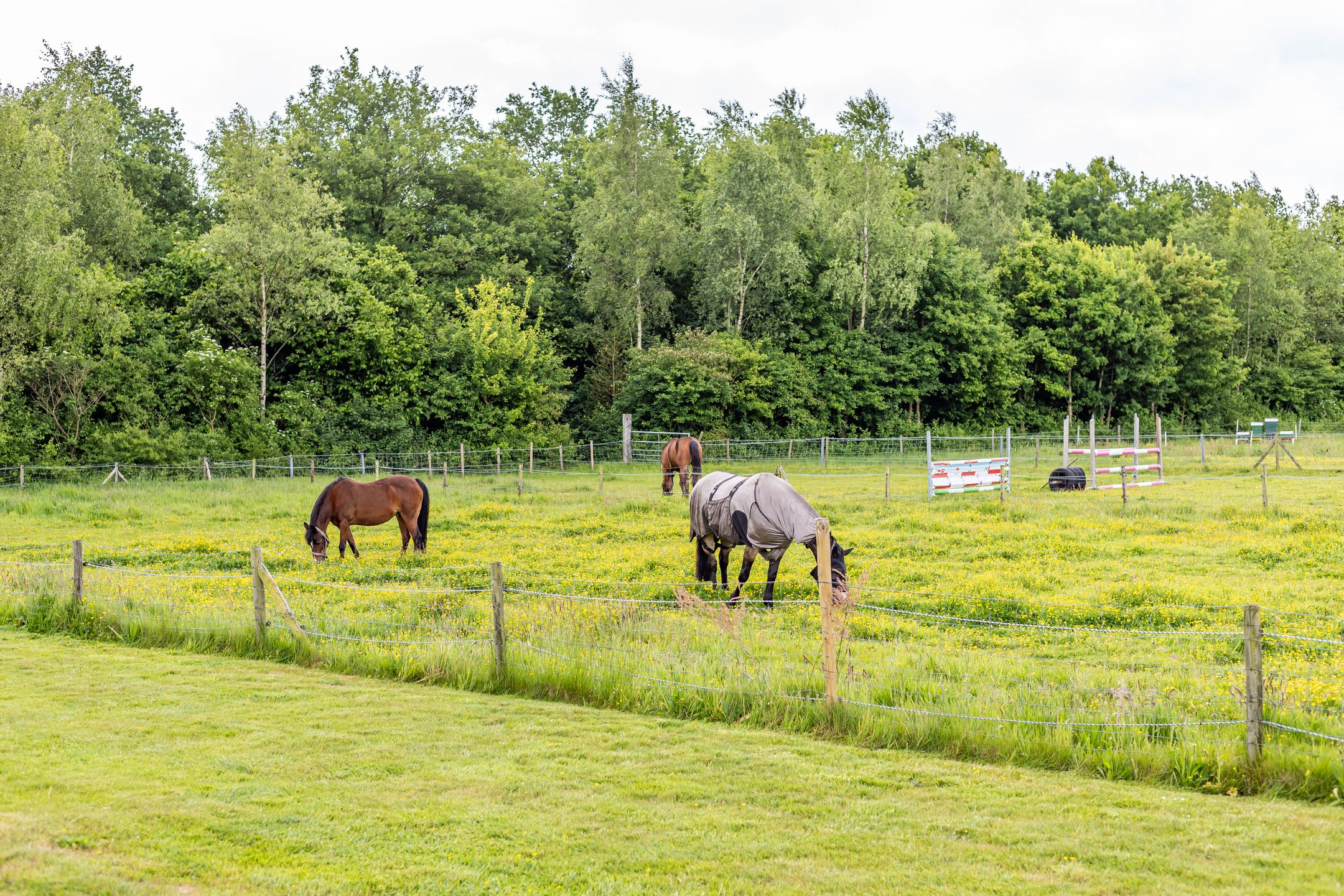 Photo 84 of Steendobbe 1