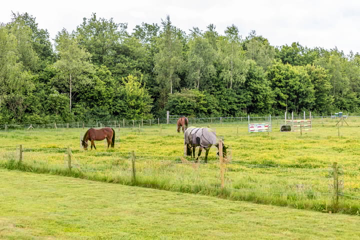 Foto 84 van Steendobbe 1