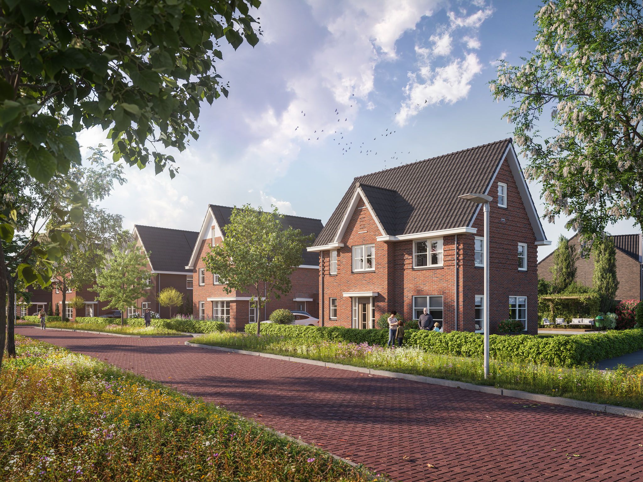 Foto van In de Luwte fase 2c