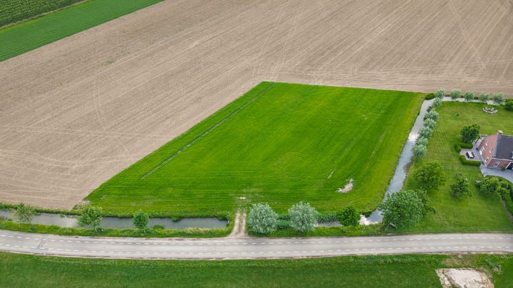 Foto 2 van Trechtweg