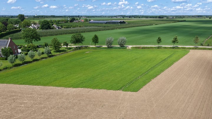 Foto 3 van Trechtweg