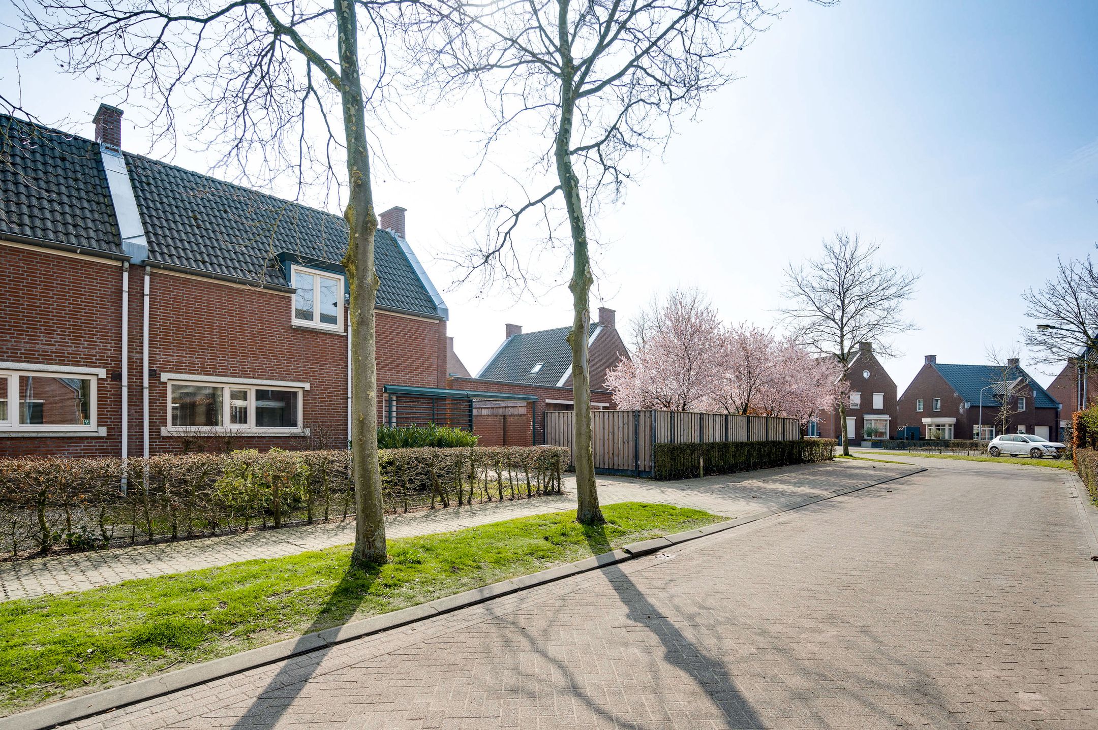 Foto 27 van Heidebeemd 13