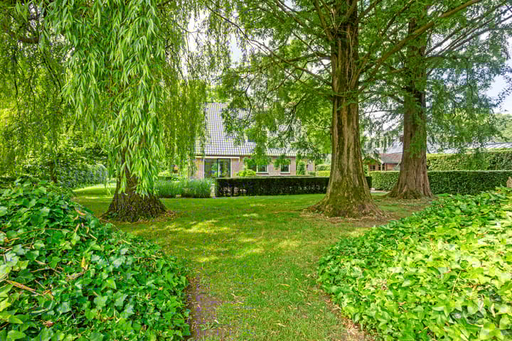 Foto 40 van Loonsestraat 1-A