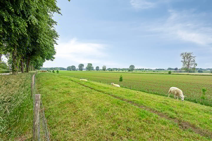 Foto 54 van Loonsestraat 1-A