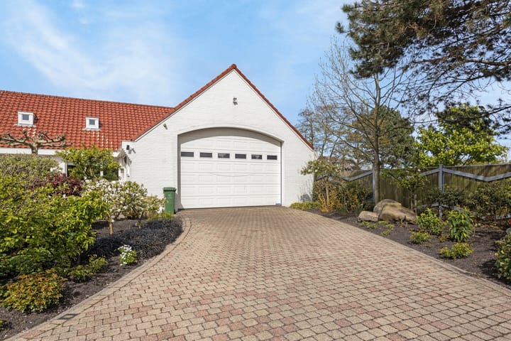 Photo 22 of Pluto 200