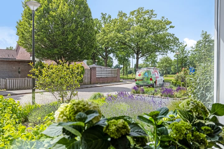 Foto 10 van Spreeuwstraat 50