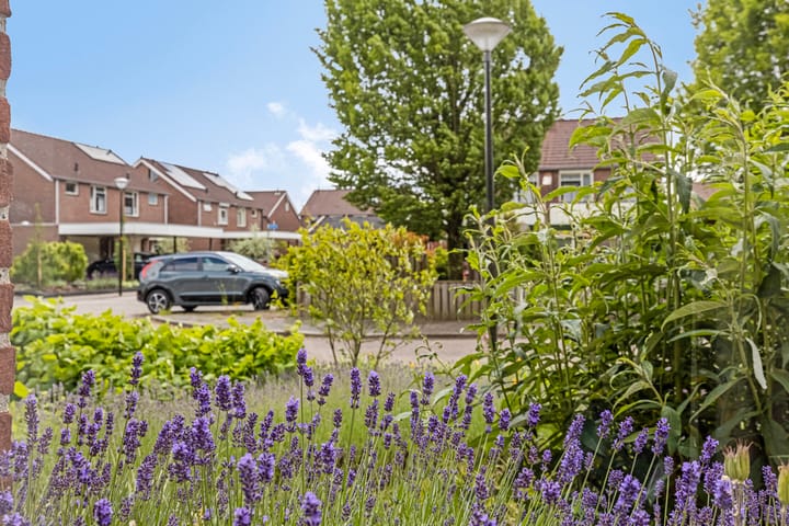 Foto 11 van Spreeuwstraat 50