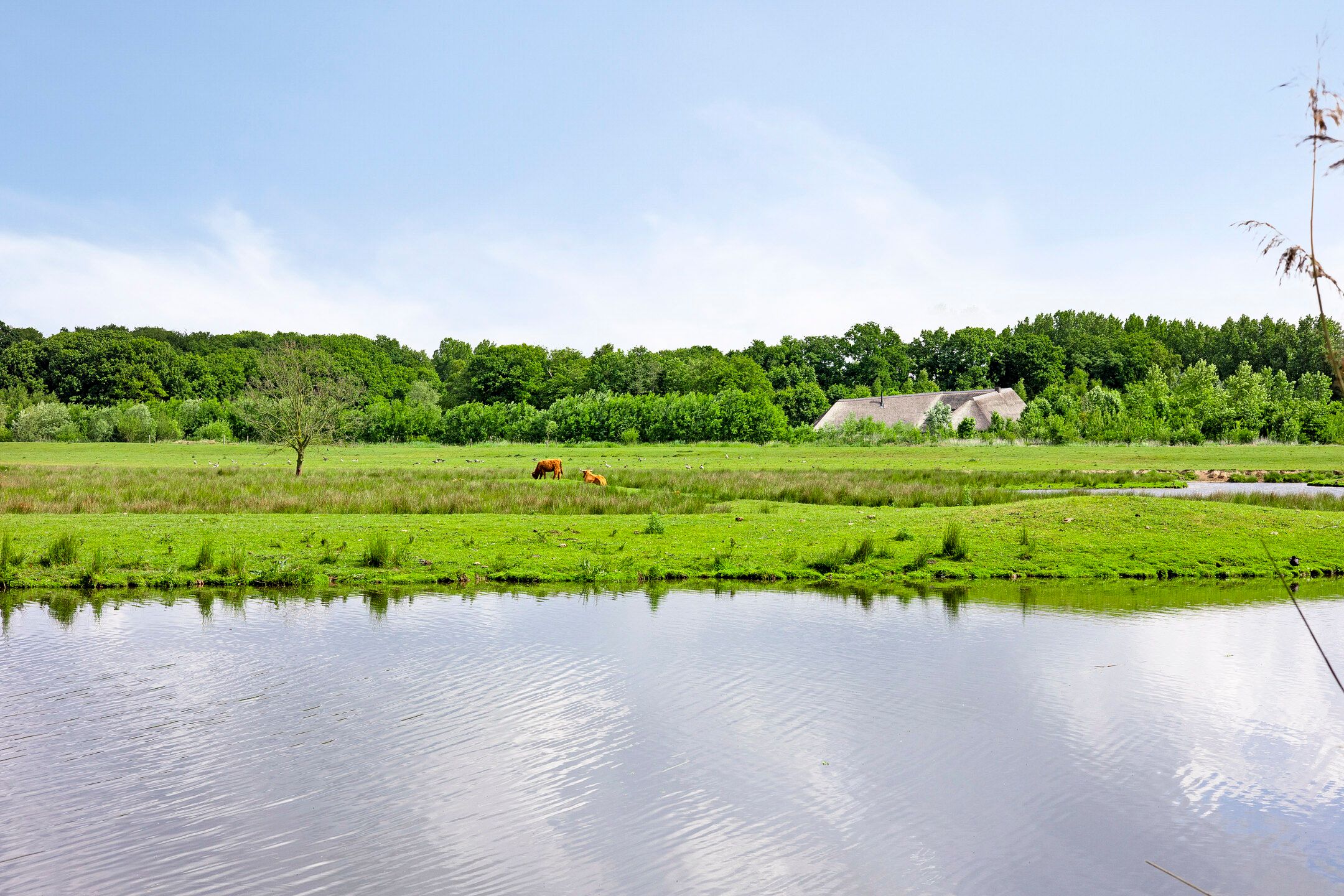 Photo 57 of De Markerichter 1