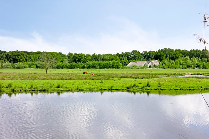 Foto 57 van De Markerichter 1