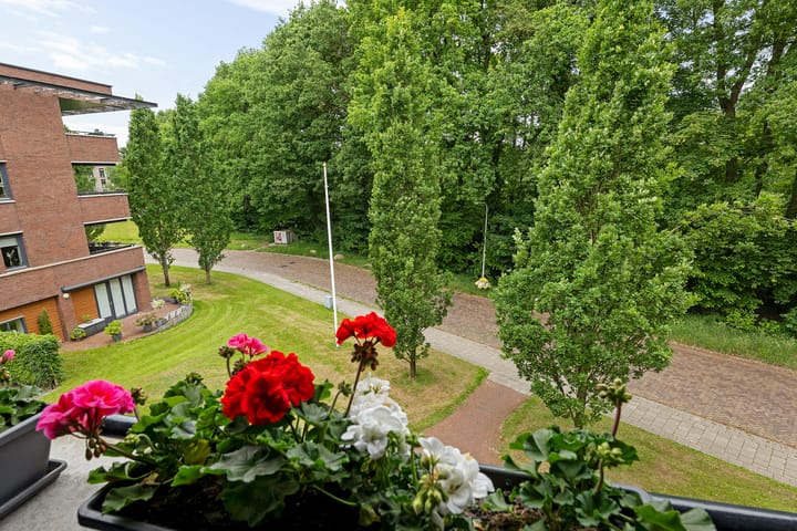 Photo 29 of Platolaan 2-20