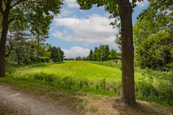 Foto 7 van Felix Timmermanslaan 8