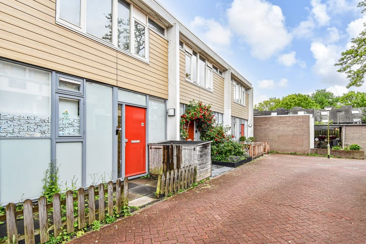 Foto 2 van Lester Youngrode 18