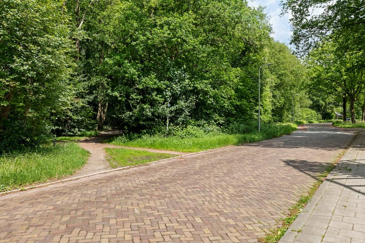 Photo 54 of Platolaan 2-20