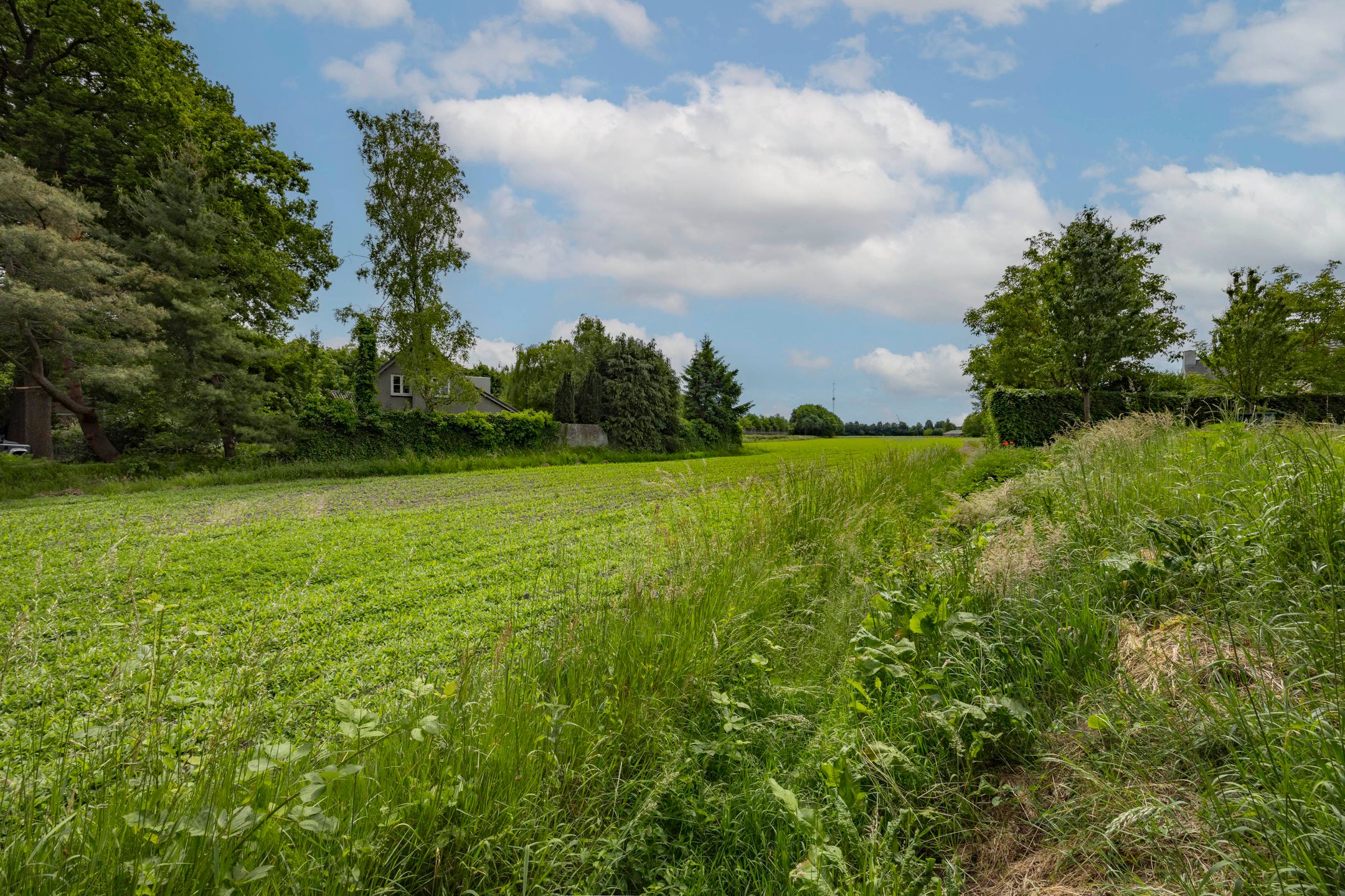 Foto 51 van Felix Timmermanslaan 8