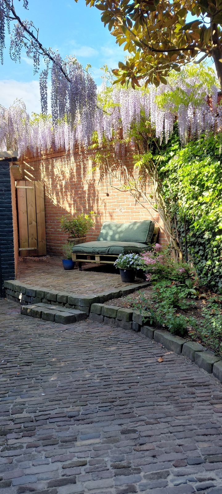 Foto 38 van Assendorperstraat 176-1