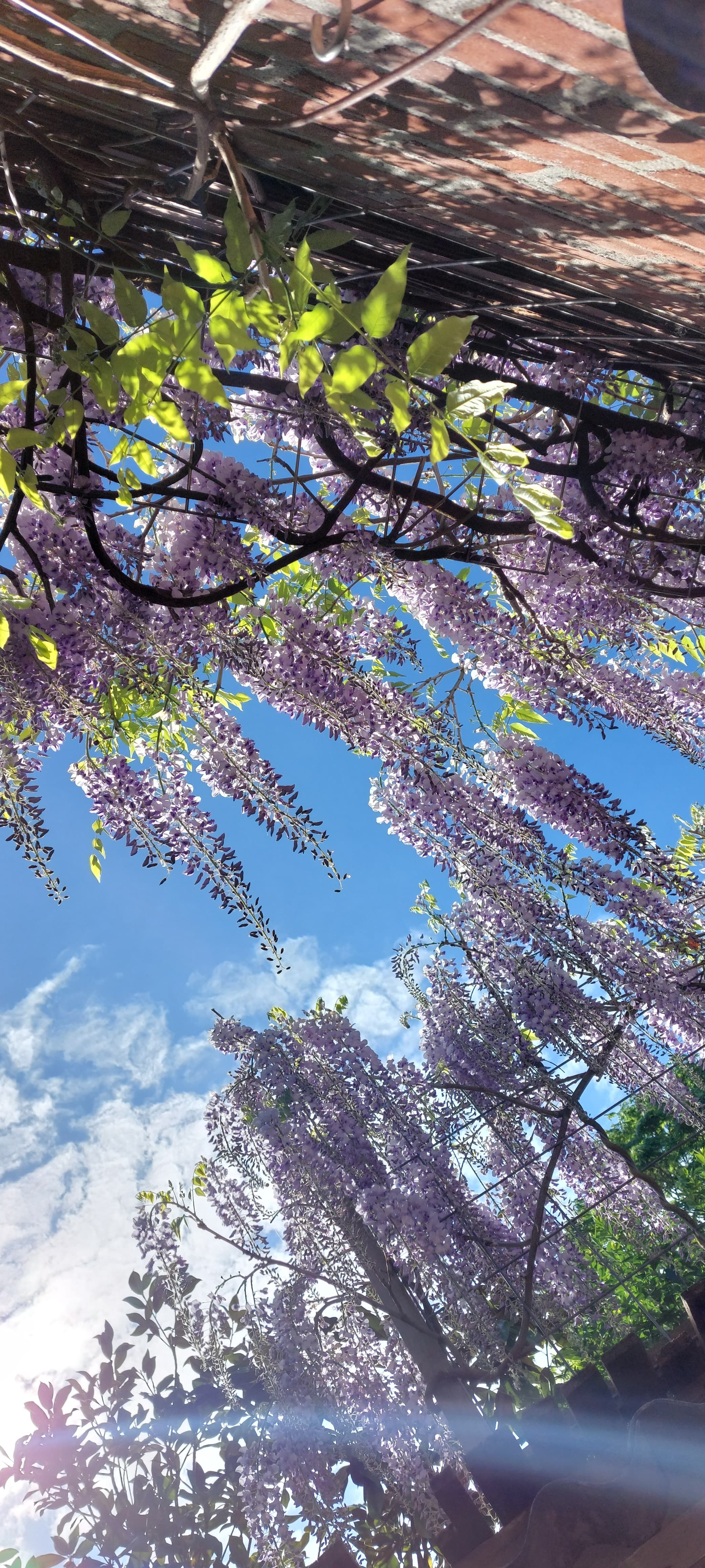 Foto 39 van Assendorperstraat 176-1