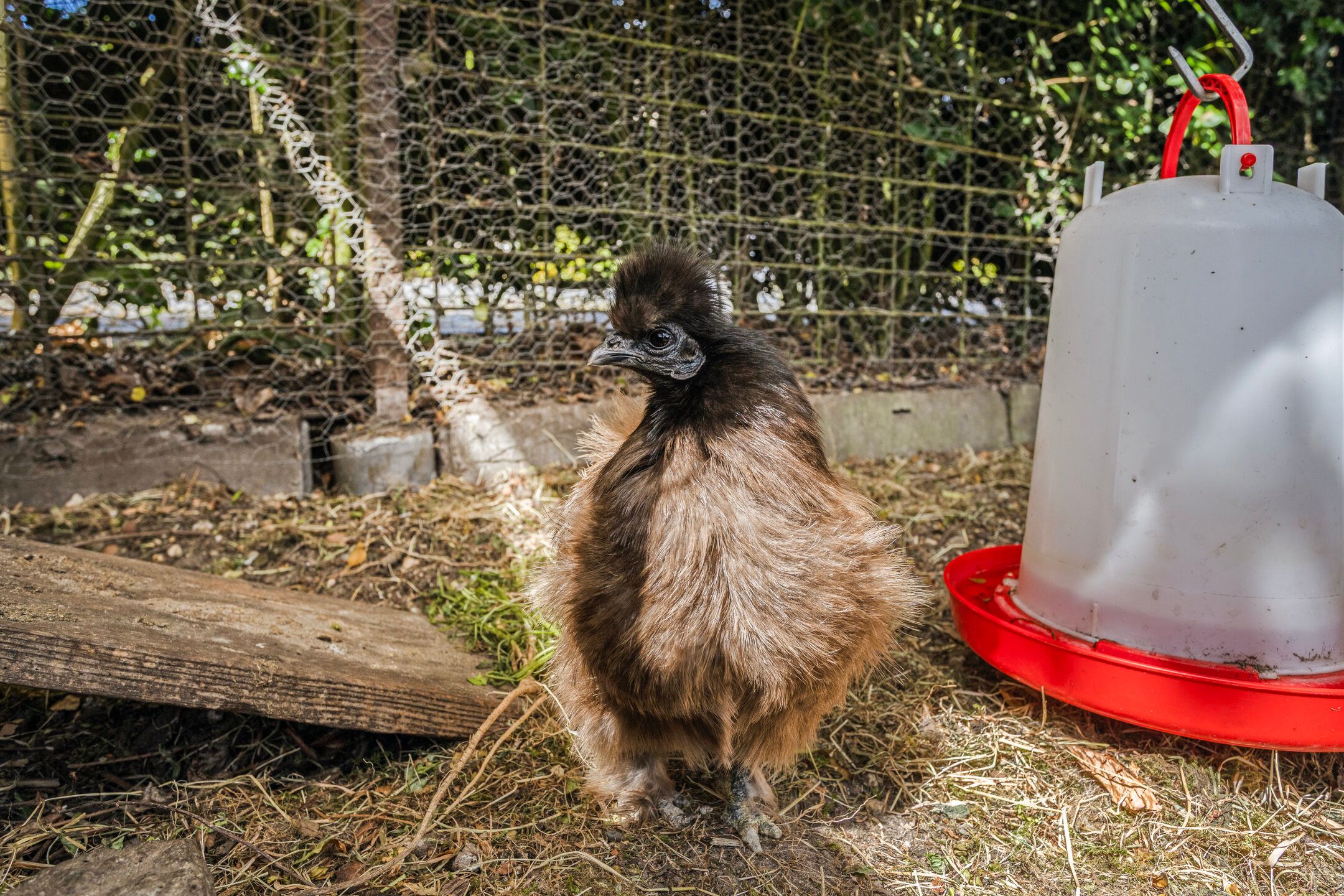 Foto 24 van Musschenbroekstraat 5