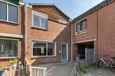 undefined main image