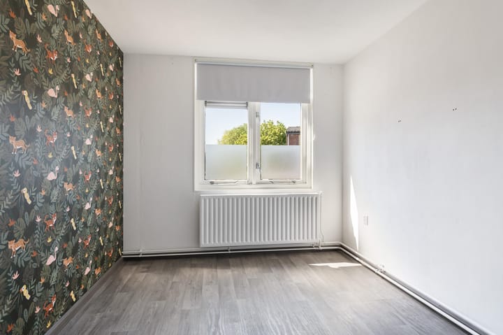 Foto 12 van Zebraspoor 174